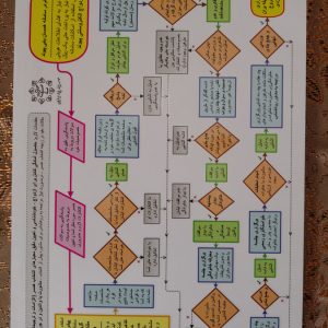 گزیده PDF کتاب ازدواج الکتروسنتی